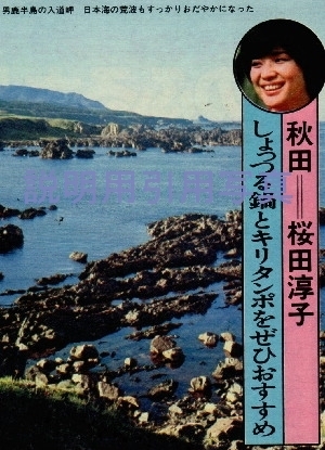 11男鹿半島 人道崎2.jpg