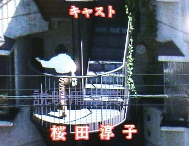 12湖に立つ女12.jpg