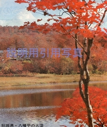 13八幡平(国立公園).jpg