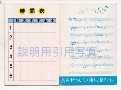 1わたしの青い鳥裏.jpg