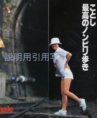 1明星平凡-夏のんびり歩き合体.jpg