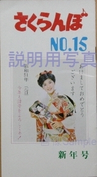2012a.jpg