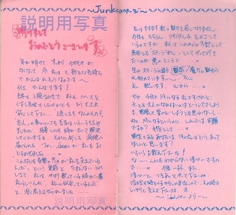 2013-2c.jpg