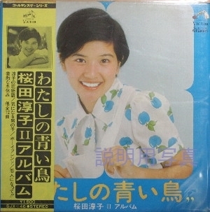 2わたしの青い鳥.jpg