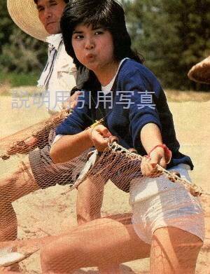 2明星197610北陸旅漁港(夏)3.jpg