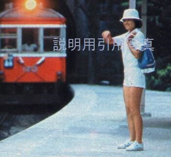 2明星平凡-夏のんびり歩き1.jpg