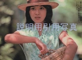 2週刊1975夏-2.jpg