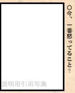 33QA2.jpg