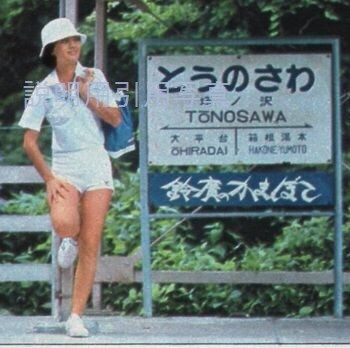 3明星平凡-夏のんびり歩き合体.jpg