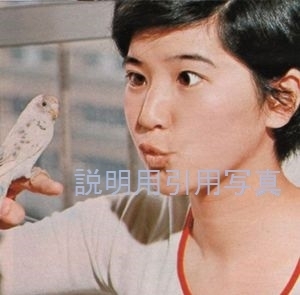 42J明星197307浅田美代子5.jpg