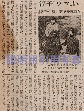 4乗馬.jpg