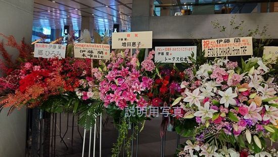4伊藤蘭B2.jpg