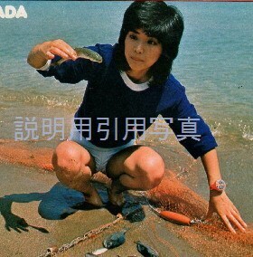 4明星197610北陸旅漁港(夏)4.jpg