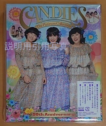 51ブログキャンディーズ1.jpg