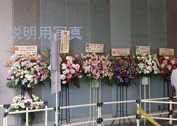 53花.jpg