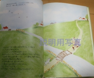 5サラの瞳中見0.jpg