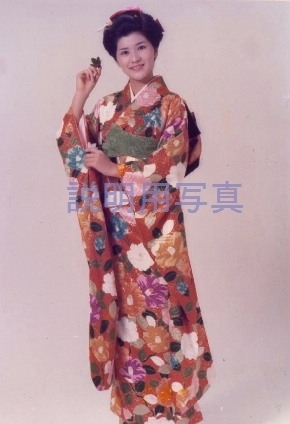 5桜田淳子晴着B.jpg