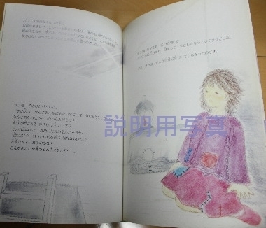 6サラの瞳中見2.jpg
