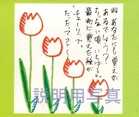 6スポーツ卓上カレンダーb.jpg