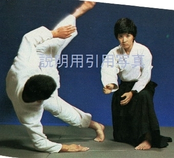 6ポスター柔道.jpg