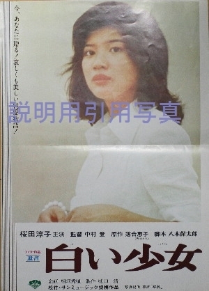 7プログラムのポスター.jpg