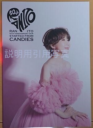 7伊藤蘭パンフレット.jpg