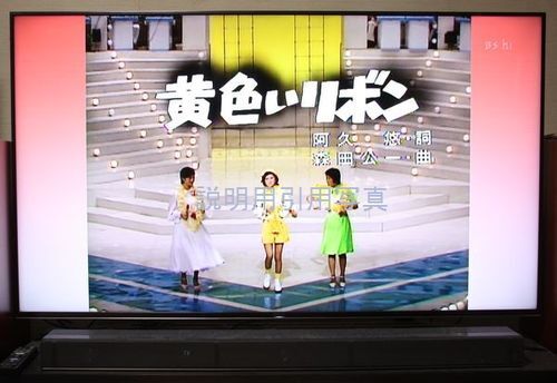 8黄色いリボン紅白2.jpg