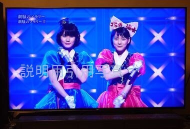 93潮騒のメモリーズ.jpg