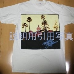 Bイーグルス1995.jpg