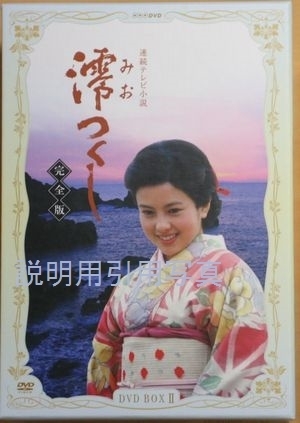 B澪つくしDVD22.jpg