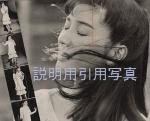 B週刊1981-2.jpg