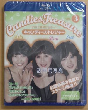 CANDIES TREASURE3B.jpg