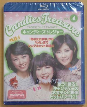 CANDIES TREASURE4B.jpg