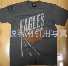 Dイーグルス2011.jpg