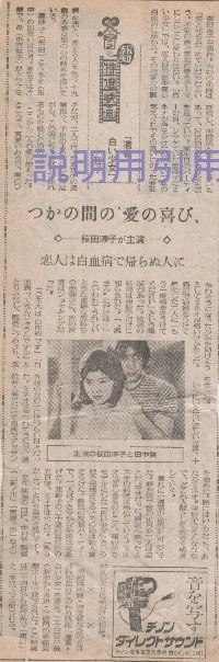 D新聞22.jpg