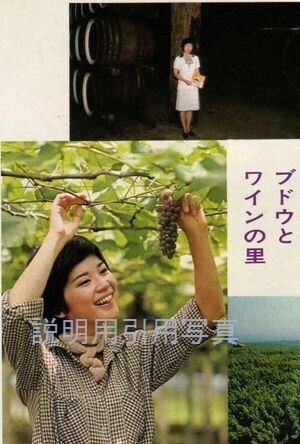 D週刊平凡19770908甲州(夏、初秋)2.jpg