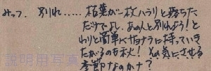 さくらんぼ56-23.jpg