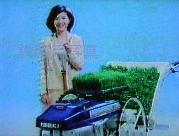 さなえ2.jpg