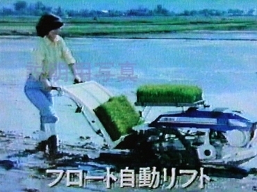 さなえ3.jpg