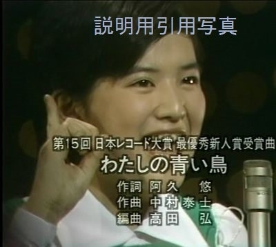 わたしの青い鳥最優秀新人賞.jpg