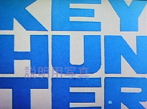 キーハンターa.jpg