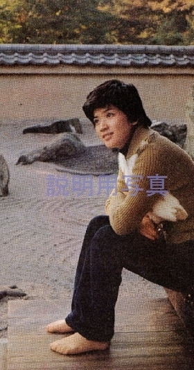 京都ひとり歩き2.jpg