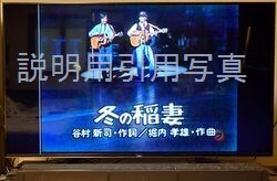 冬の稲妻2.jpg