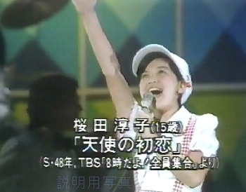 天使の初恋(テレビ探偵団).jpg