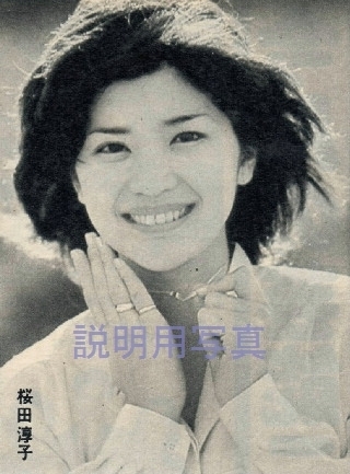 平凡197804ネックレス1.jpg