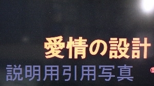 愛情の設計a.jpg