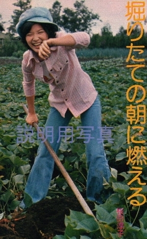 畑.jpg