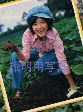 畑2.jpg