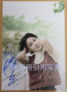 私家版・ひし美ゆり子4ブログ.jpg