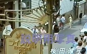 花の降る午後13.jpg